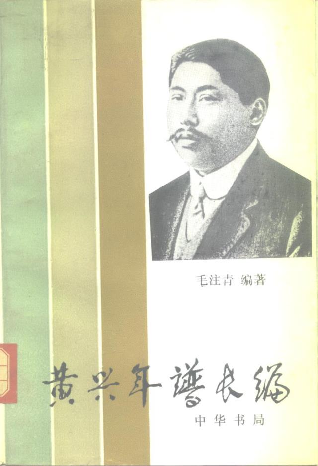 名人年谱长编 （共45册）pdf 电子版